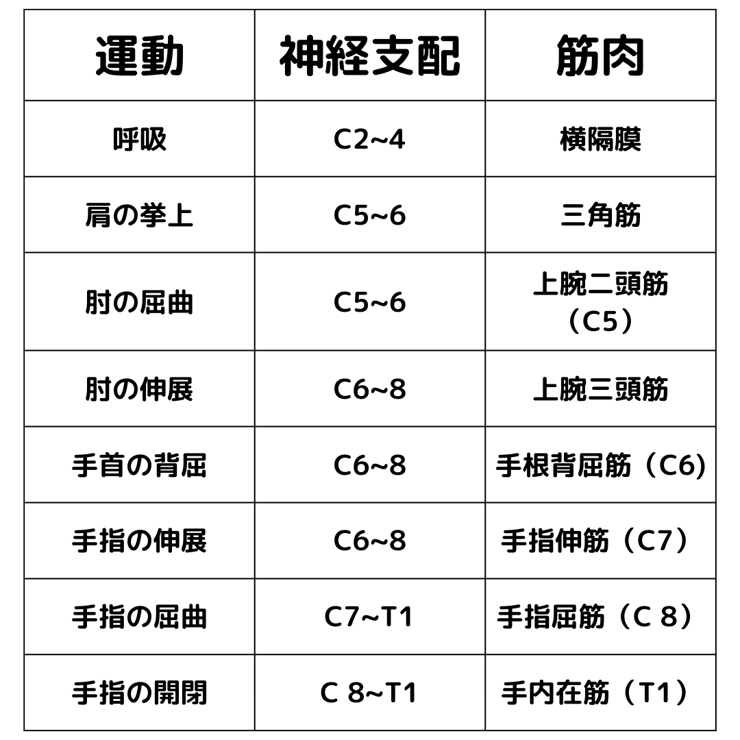 脊髄損傷 神経学的レベルより下位 , 脊髄損傷のリハビリテーション – KRXASG